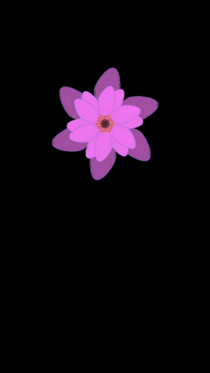 Artistic flowers 221