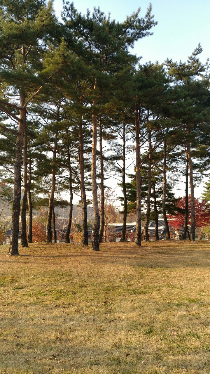 korean palace