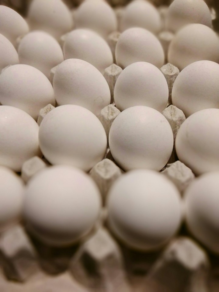 The Natural Photo-Egg