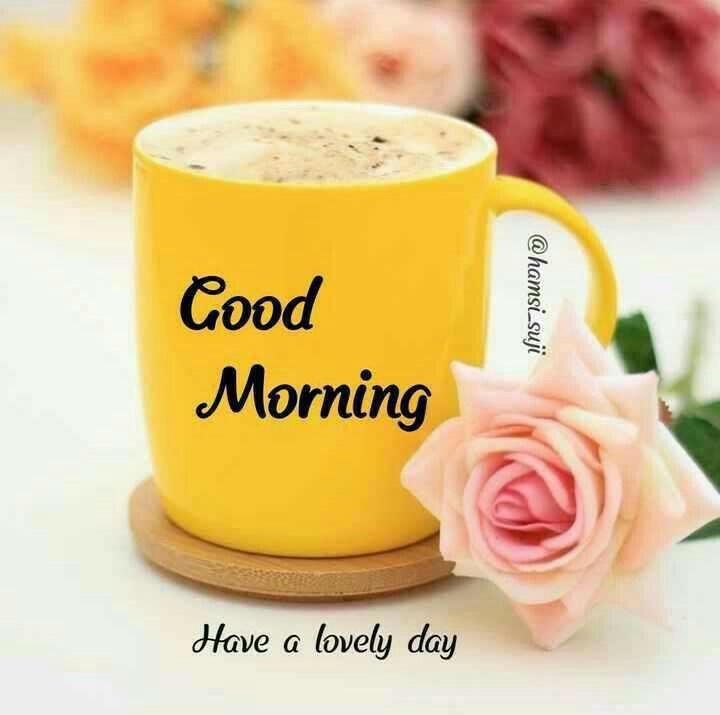 Good morning