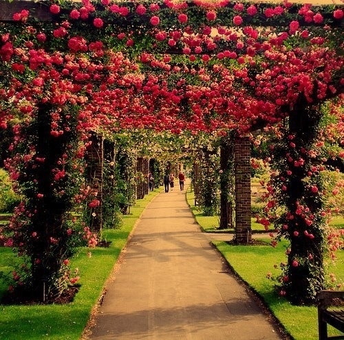 Nature