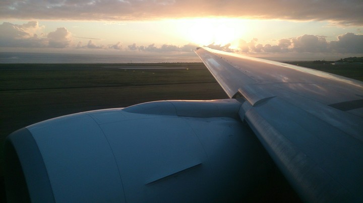 Sun and fly