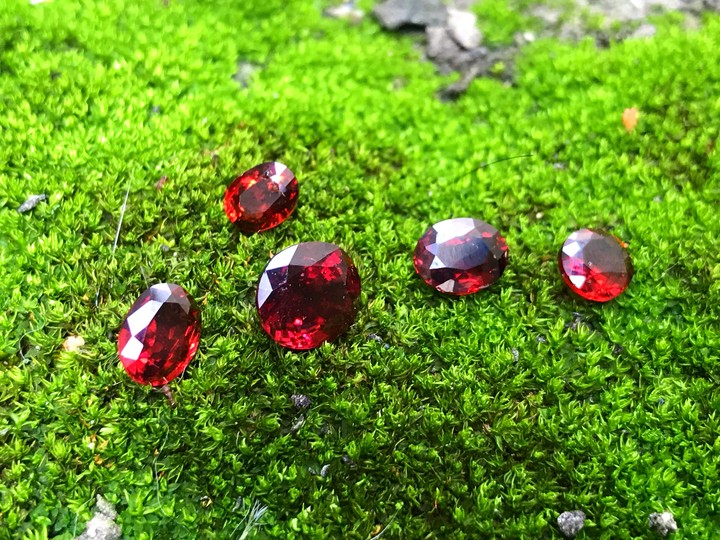 garnet