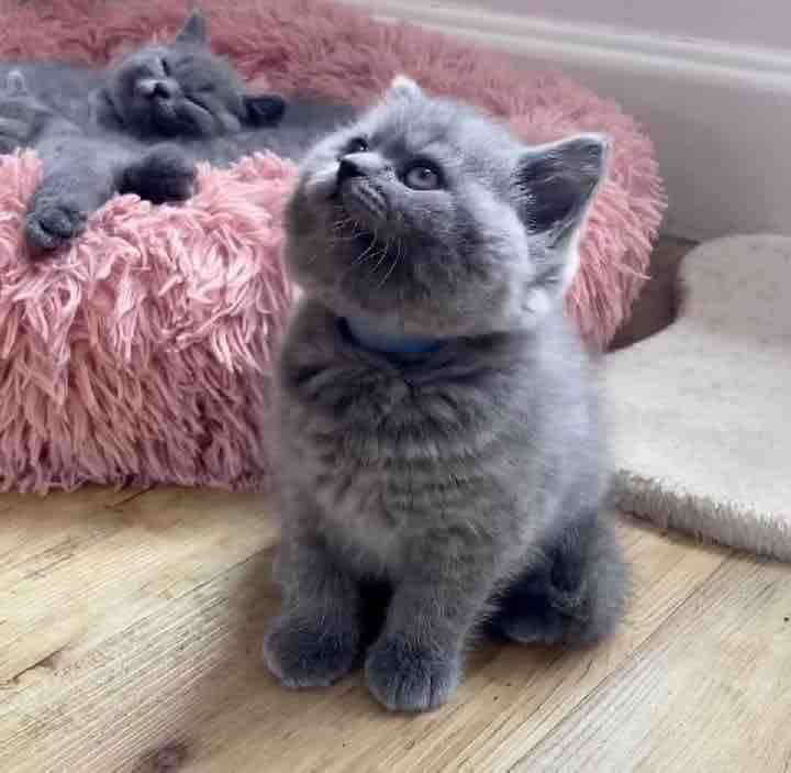 cute