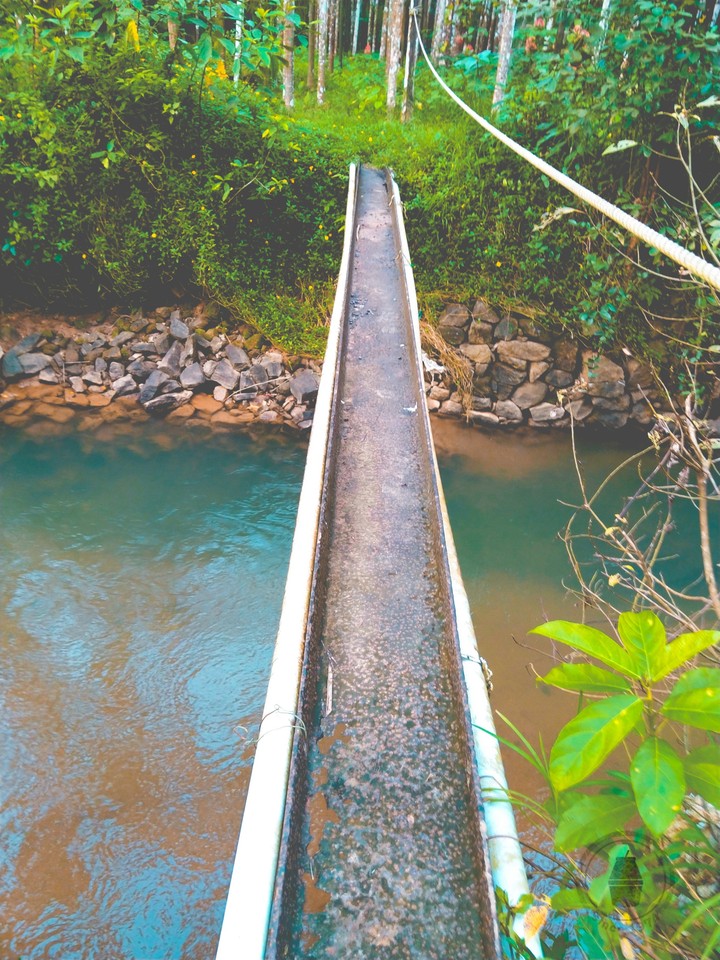 narrow path