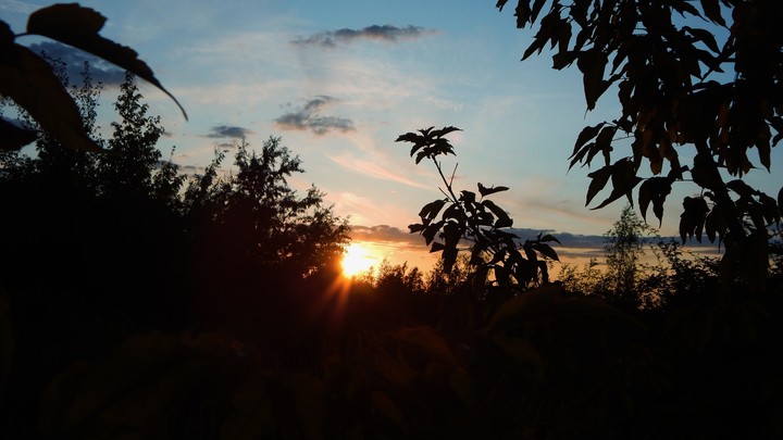 Sonnenuntergang am wald