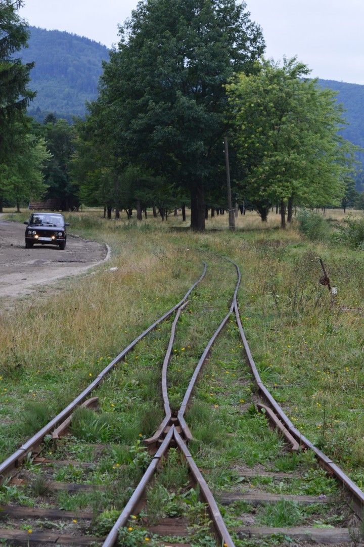 Карпаты