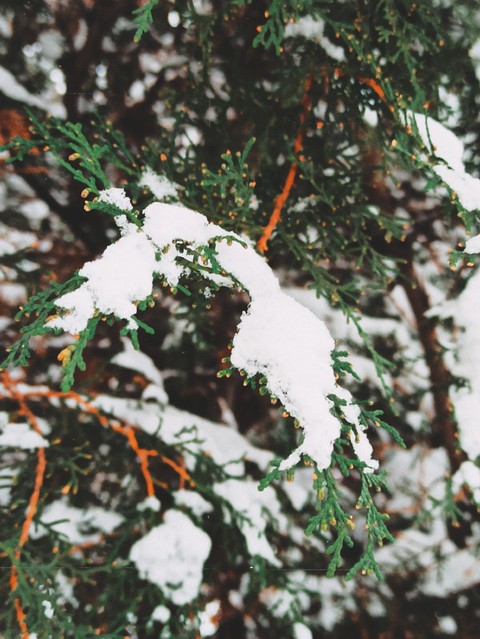 тапети freezing, snow