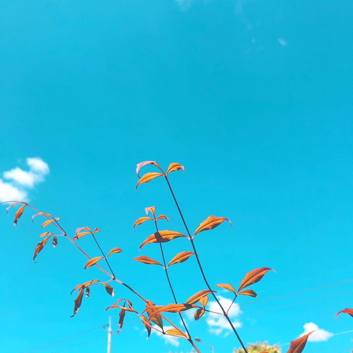 peace