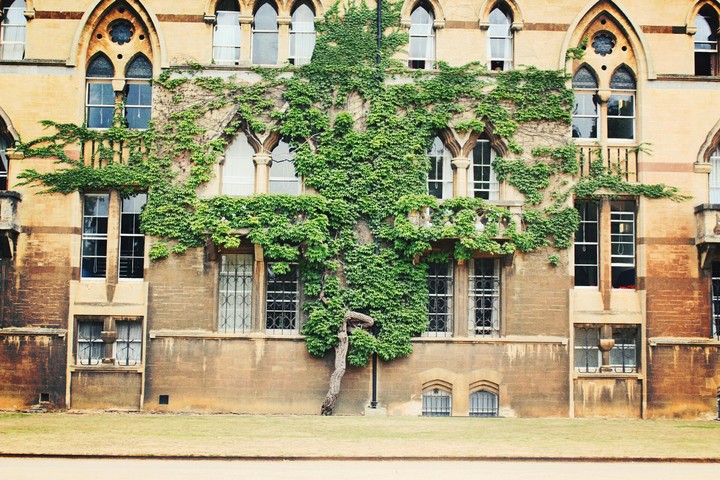 Happy tree