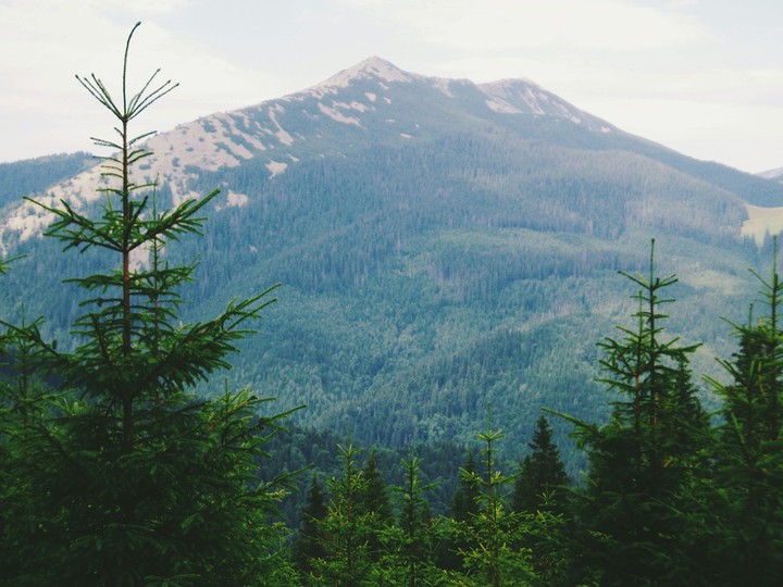 Ukrainian mountains - the Carpathians