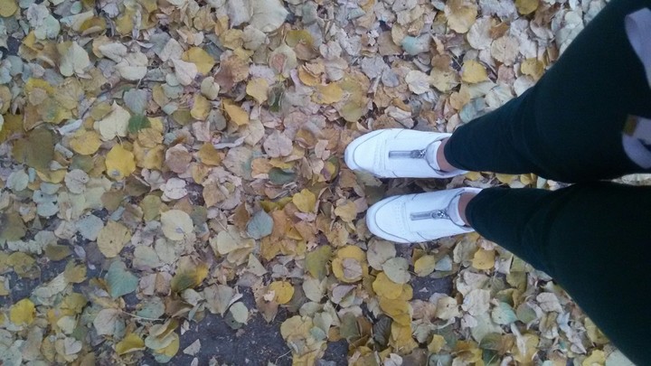 autumn in Kyiv