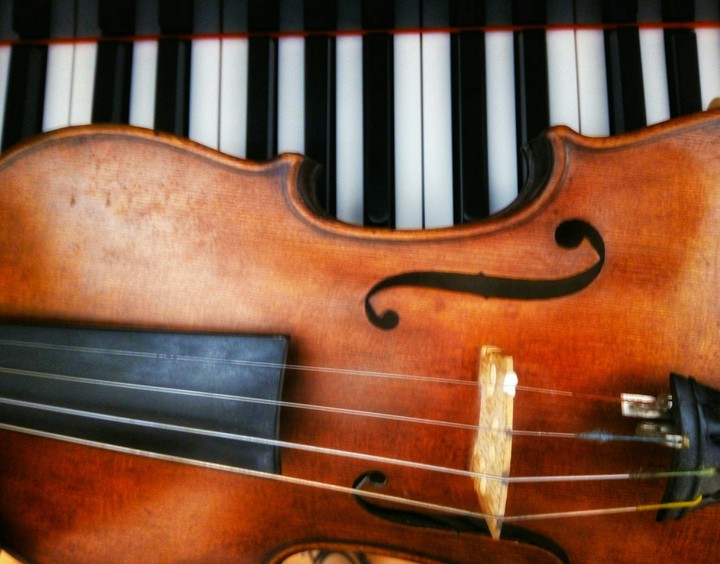 Violin