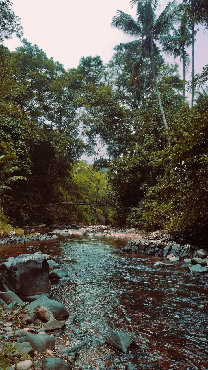 this is indonesian bro!
