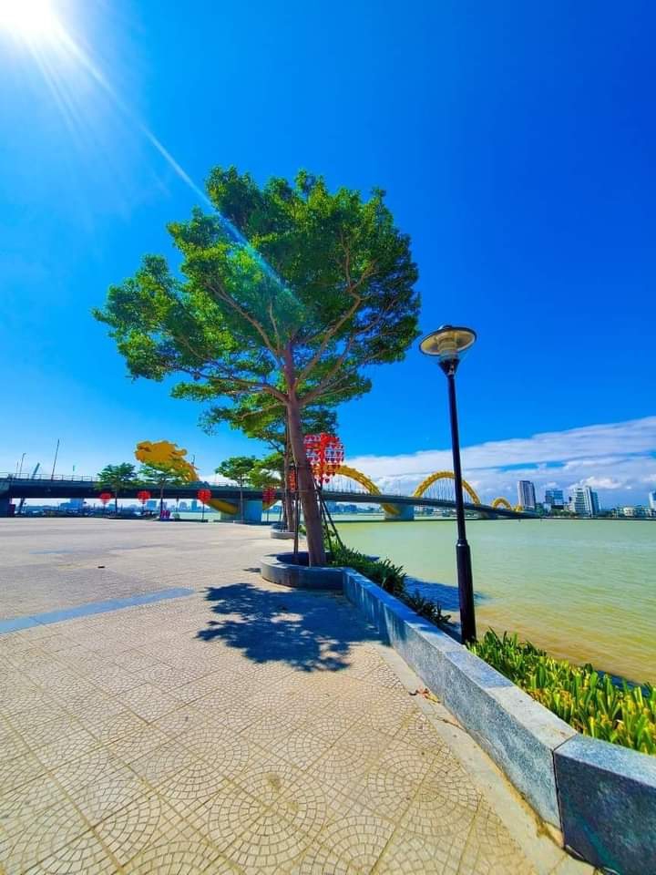 Đà Nẵng - Việt Nam