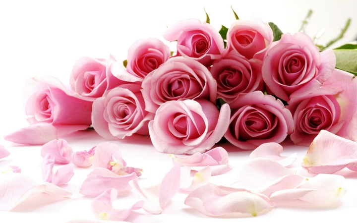 Pink Flower