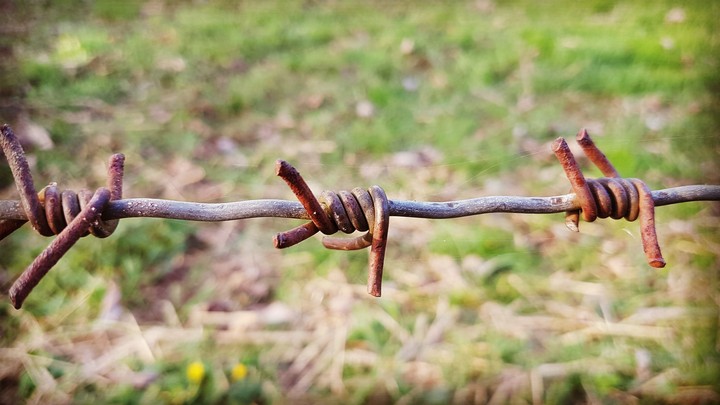 prisoner of the life