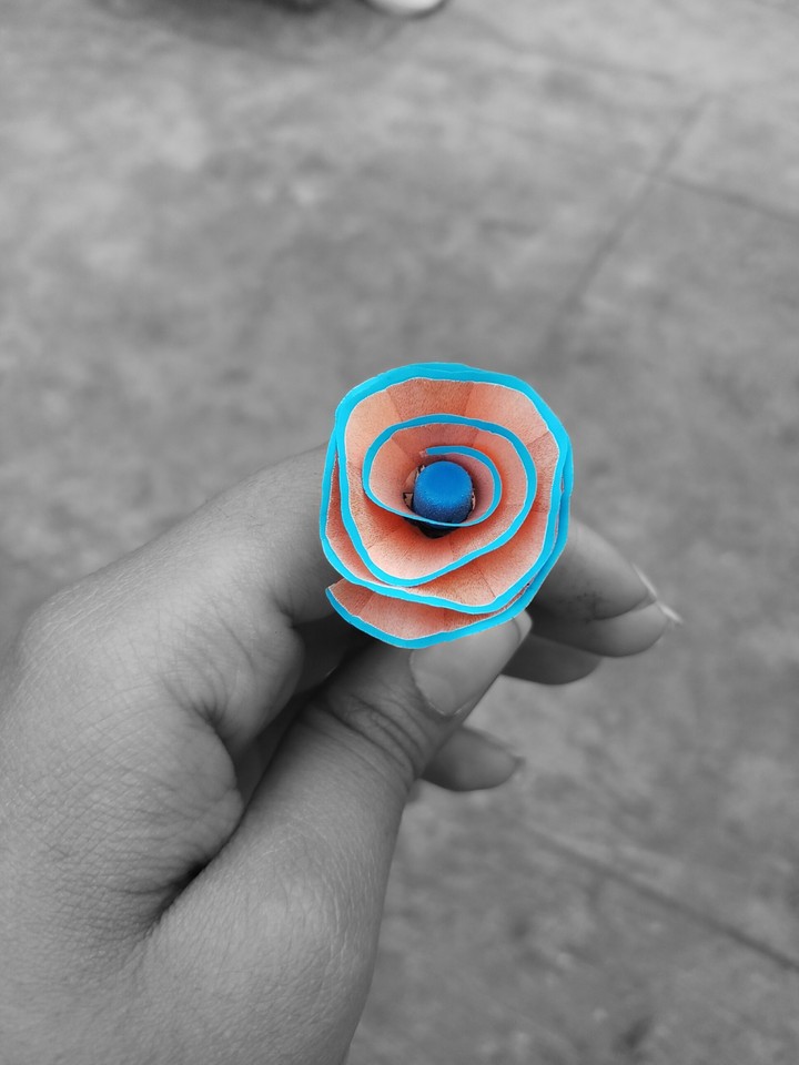 Pencil shavings