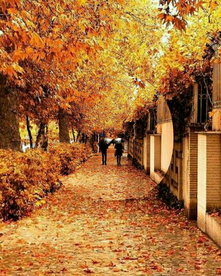 Autumn