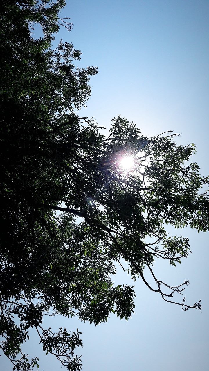 Sunshine