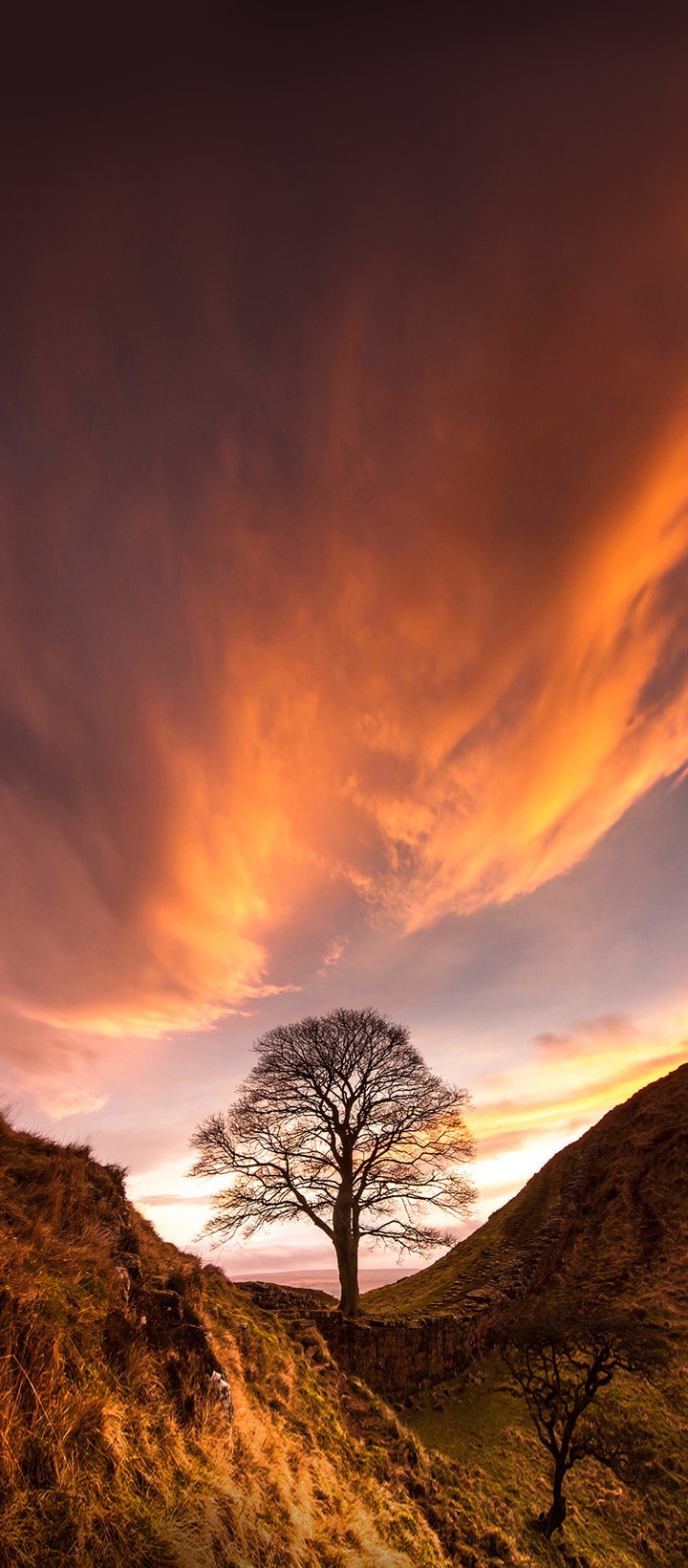 naturaleza