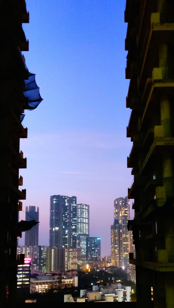 evening delight