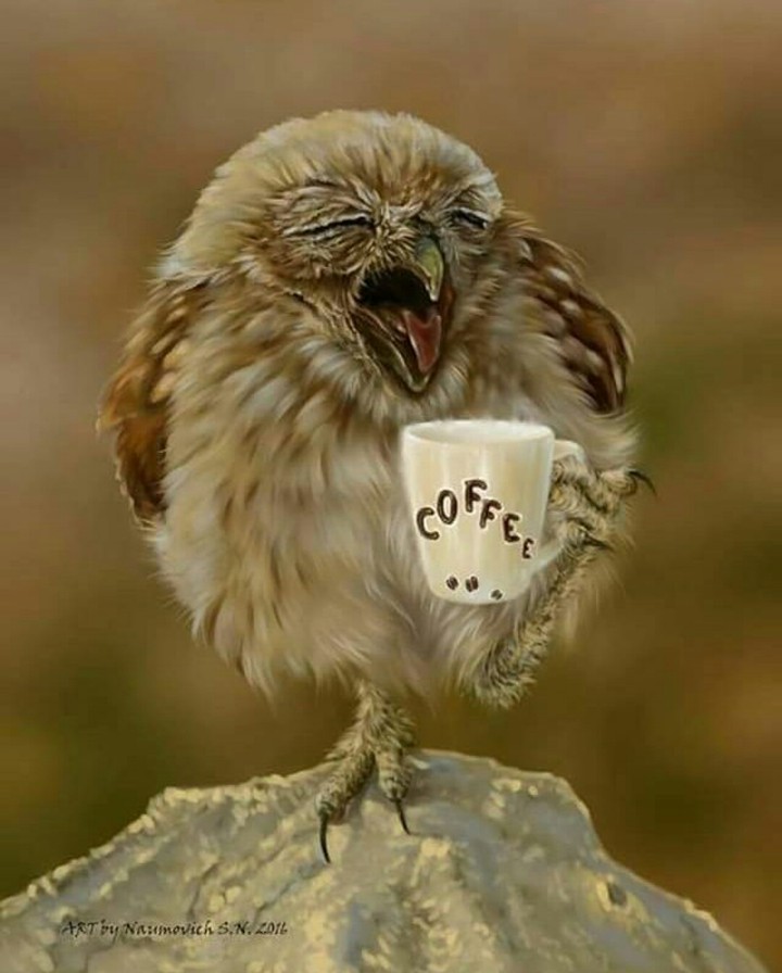 утро, кофе