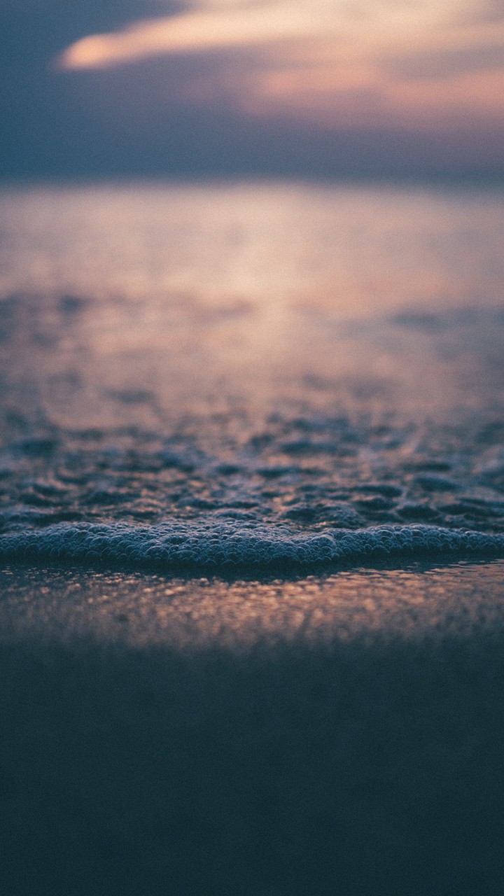 Sea