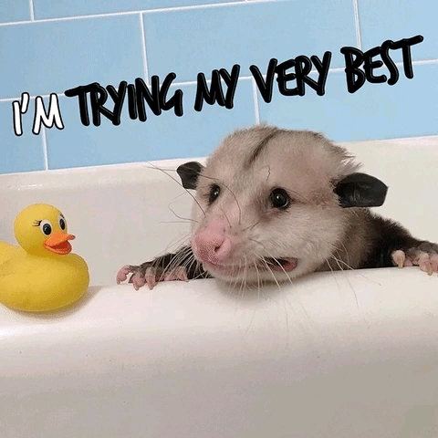 u