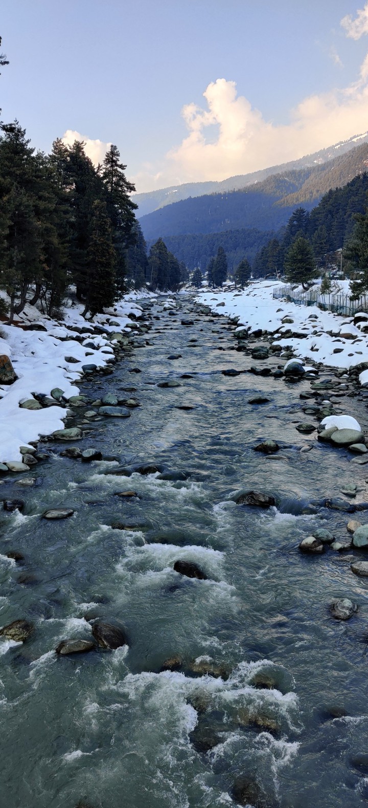Kashmir