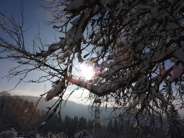 winter