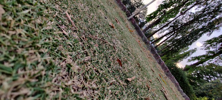 ground