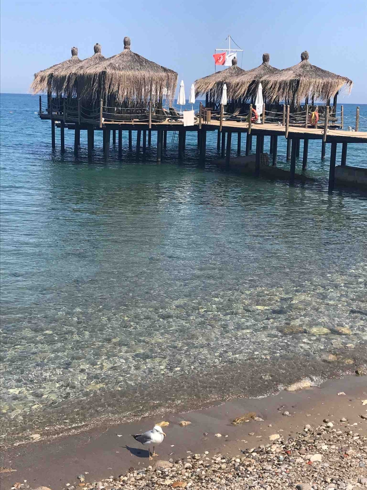 Sea