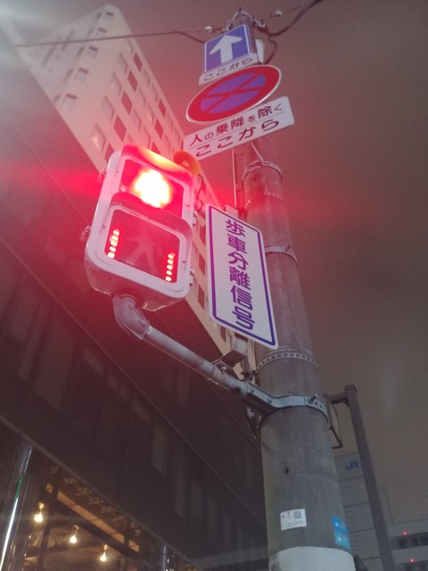 日本の都心(Japan downtown)