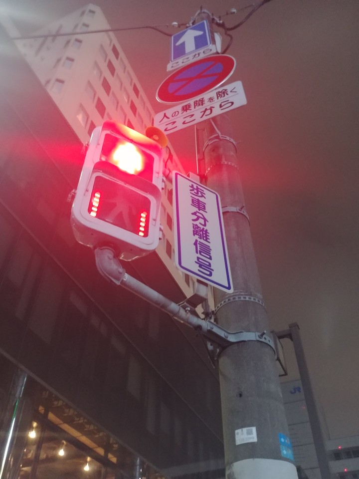 日本の都心(Japan downtown)