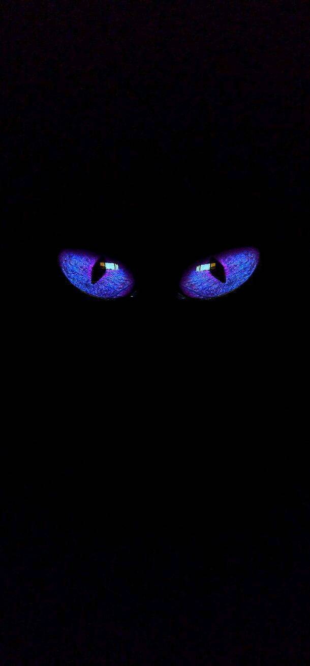 eye's