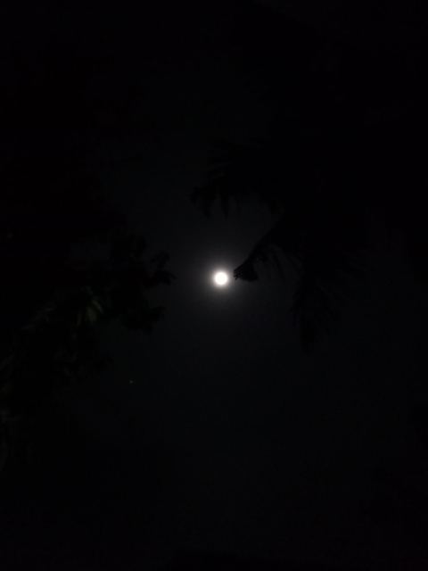 Full moon