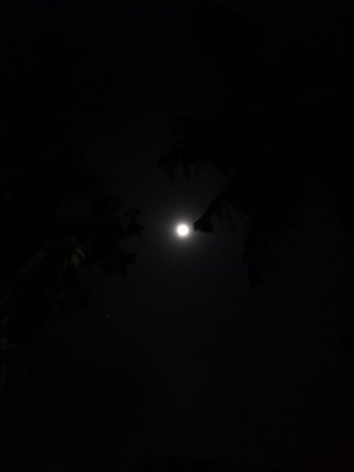 Full moon