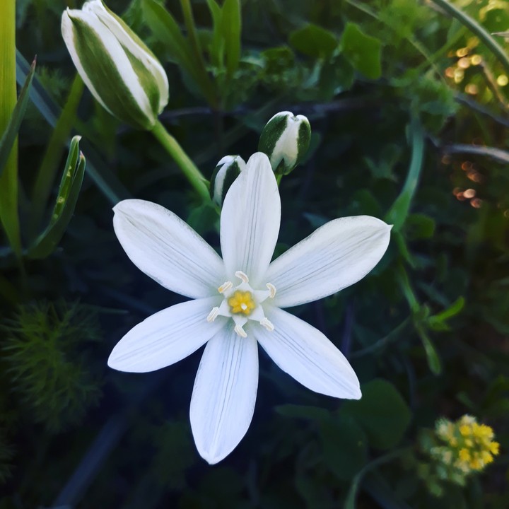 nature