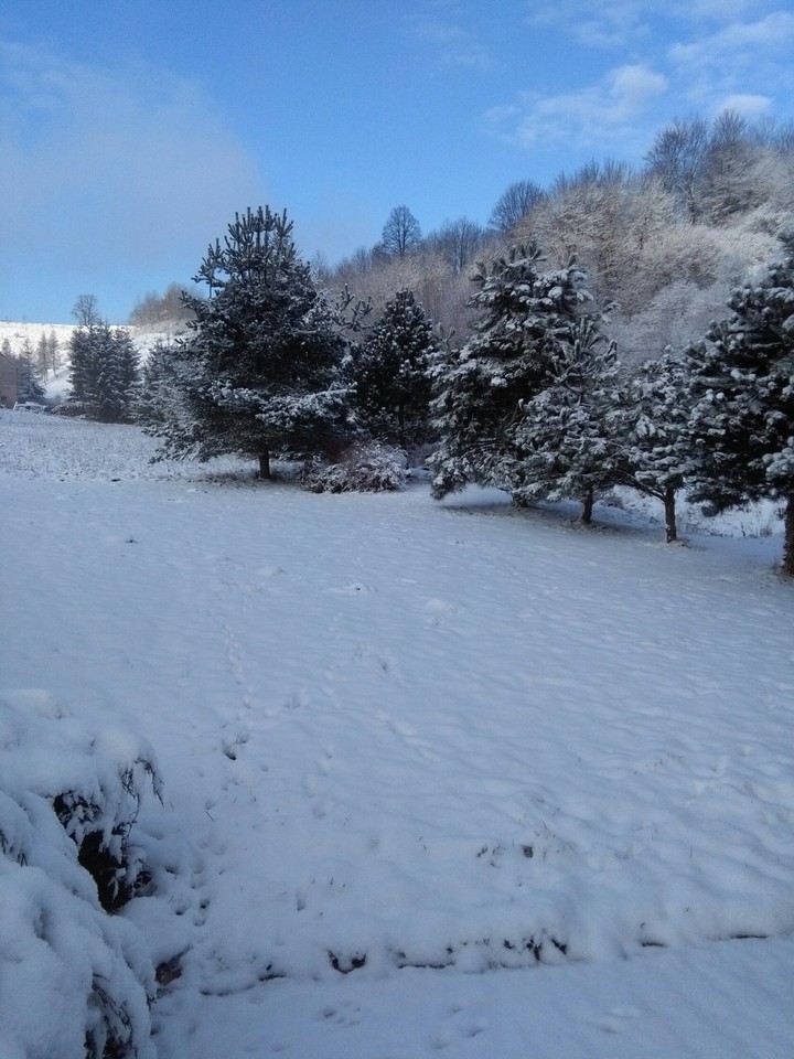 Winter, winter, winter