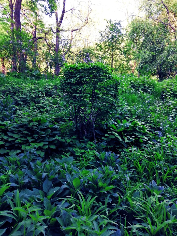 greenblue