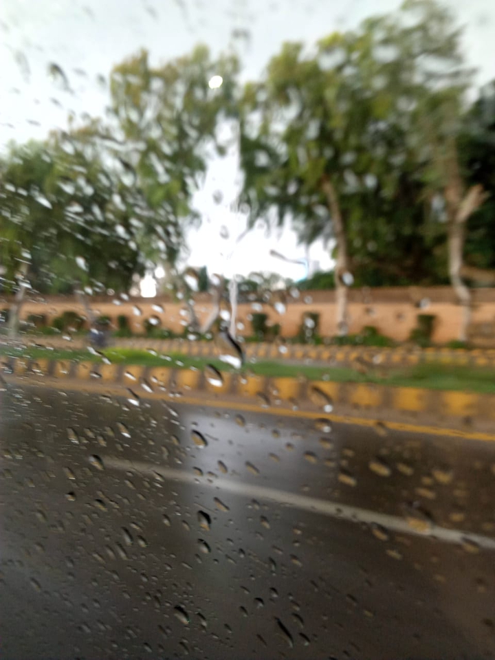 rainy window