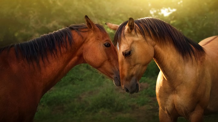 beautiful picture...