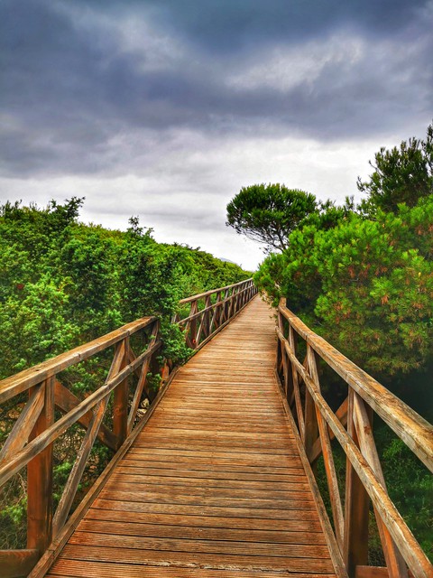 nature