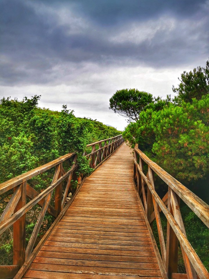 nature