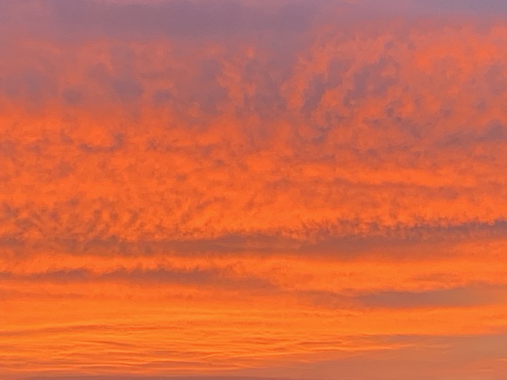 dawn
