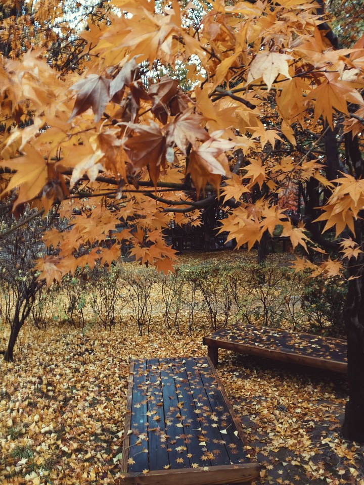 Nami Island