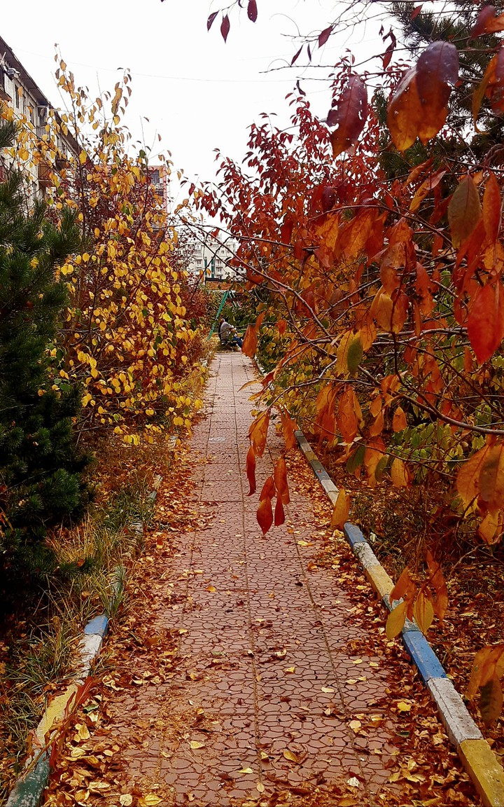 autumn