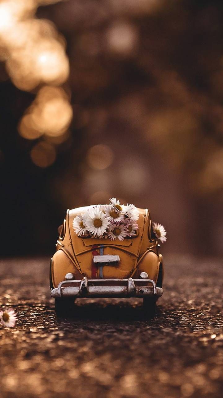 YY