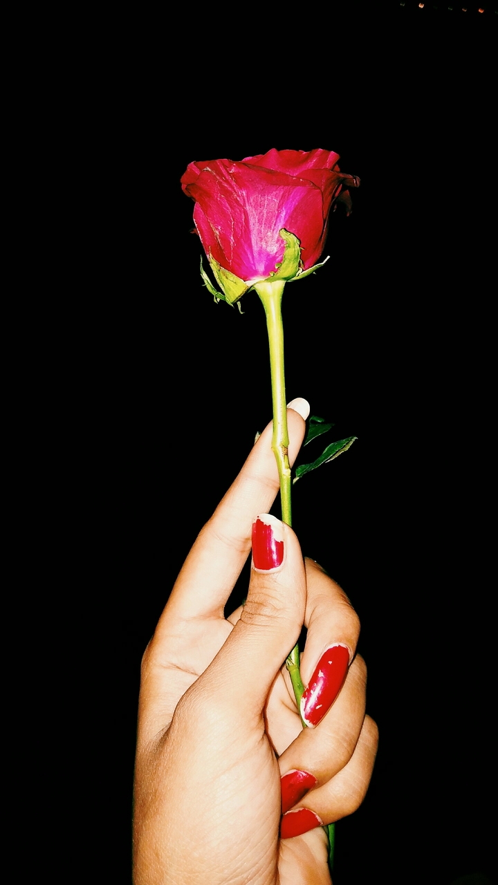 rose